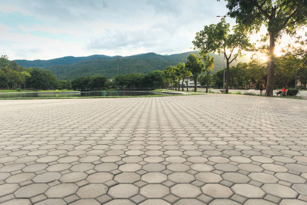 Best Commercial Driveway Pavers  in Buckingham, FL