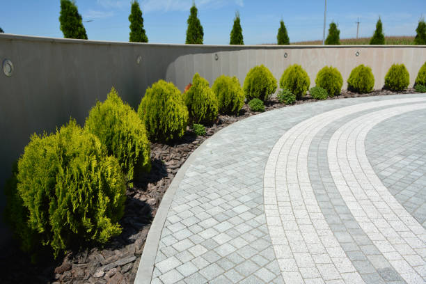 Best Decorative Driveway Pavers  in Buckingham, FL